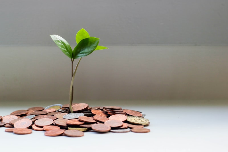 Wealth management and asset growth planning
